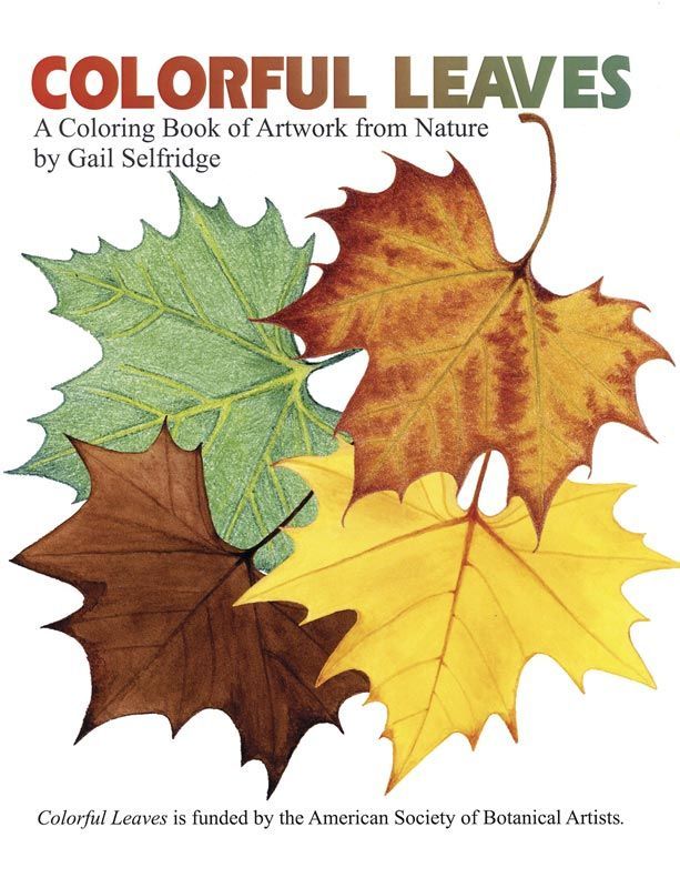 Colorful Leaves - Coloring book cover art, © Gail Selfridge