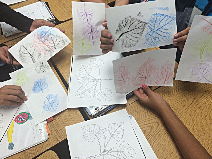 Teaching math concepts using Colorful Leaves - image 1. Photo © 2016 Erika Kvande 