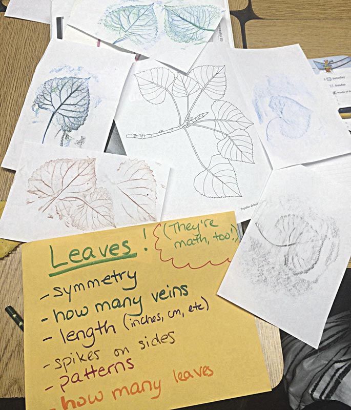 Teaching math concepts using Colorful Leaves - image 2. Photo © 2016 Erika Kvande 