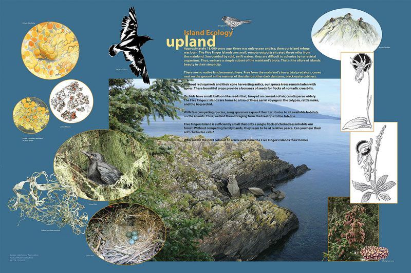 Figure 5:  Upland island ecology panel, ©2015 Juneau Lighthouse Association and Birzer Studios 