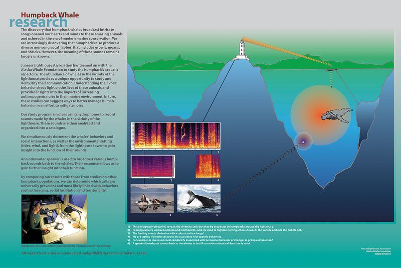 Figure 7:  Humpback whale research panel ©2015 Juneau Lighthouse Association and Birzer Studios 