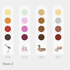 Examples of weekly color palettes. Animal illustrations created by Mesa Schumacher. ©Mesa Schumacher 2021 