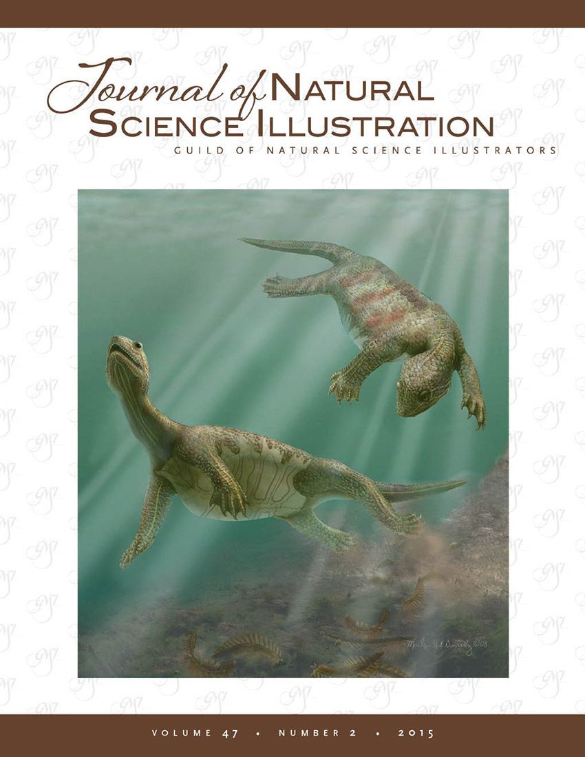 Cover: Odontochelys semitestacea, Marlene Hill Donnelly; Carbon dust and digital, 2009.
Courtesy Olivier Reippel, The Field Museum. Odontochelys is a turtle ancestor from the Jurassic having
developed a fairly complete plastron with just the beginnings of a carapace.