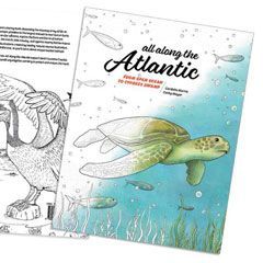 all along the Atlantic – Cover art: Sea turtle drawing. Back cover ©2019 Anne Runyon, front cover ©2019 Kara Perilli