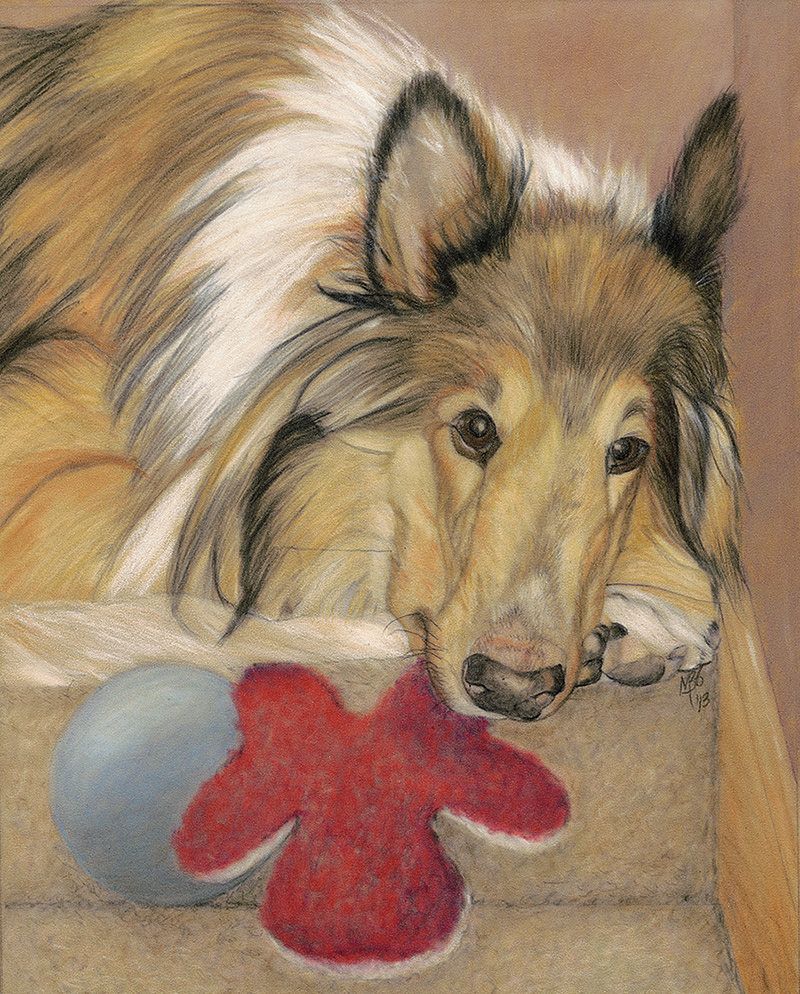 Above: My
sketching buddy. Pastel
on Pastelmat, © 2013.