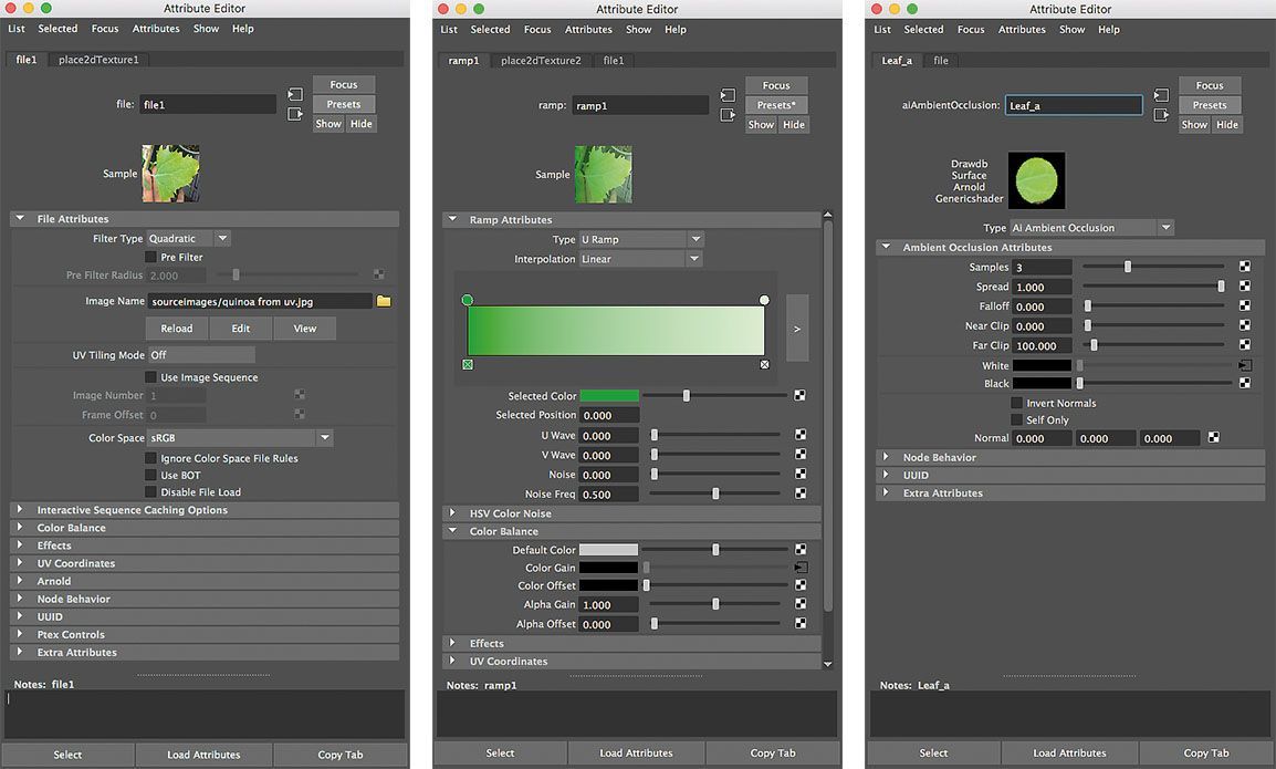 Generating
graphics with internal tools in the shader’s attribute editor.