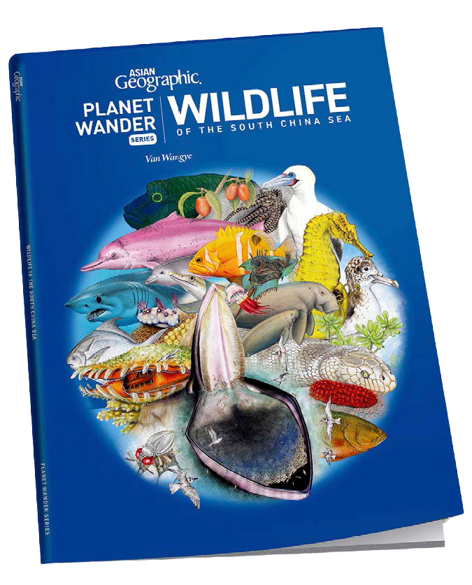 Book Cover, Wildlife of the South China Sea. Figure 10: Book Cover, Wildlife of the South China Sea.