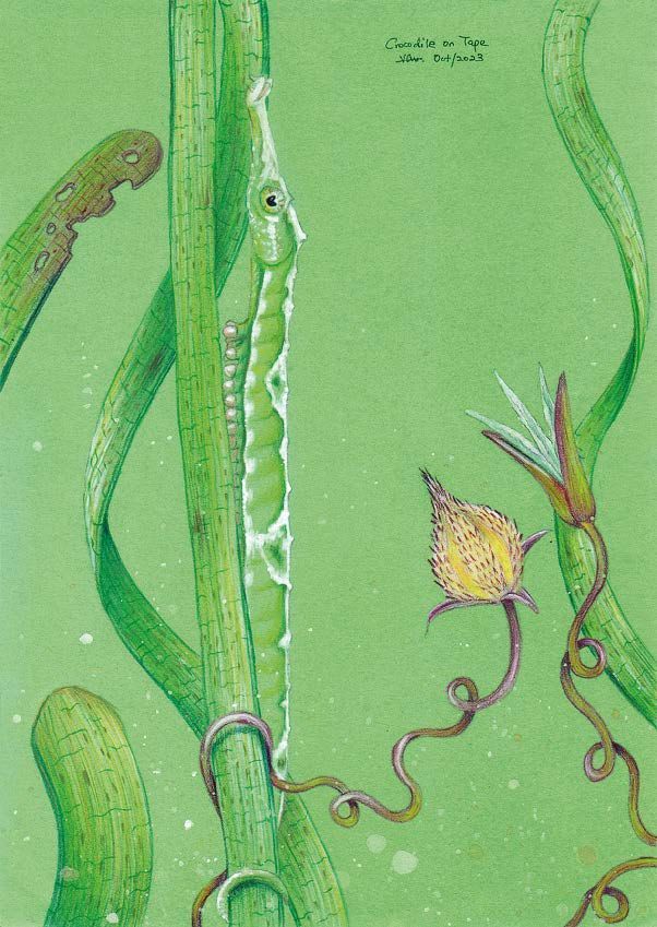 Title: Figure 9: An illustration included in Wildlife in the South China Sea: Seahorse and sea grass.