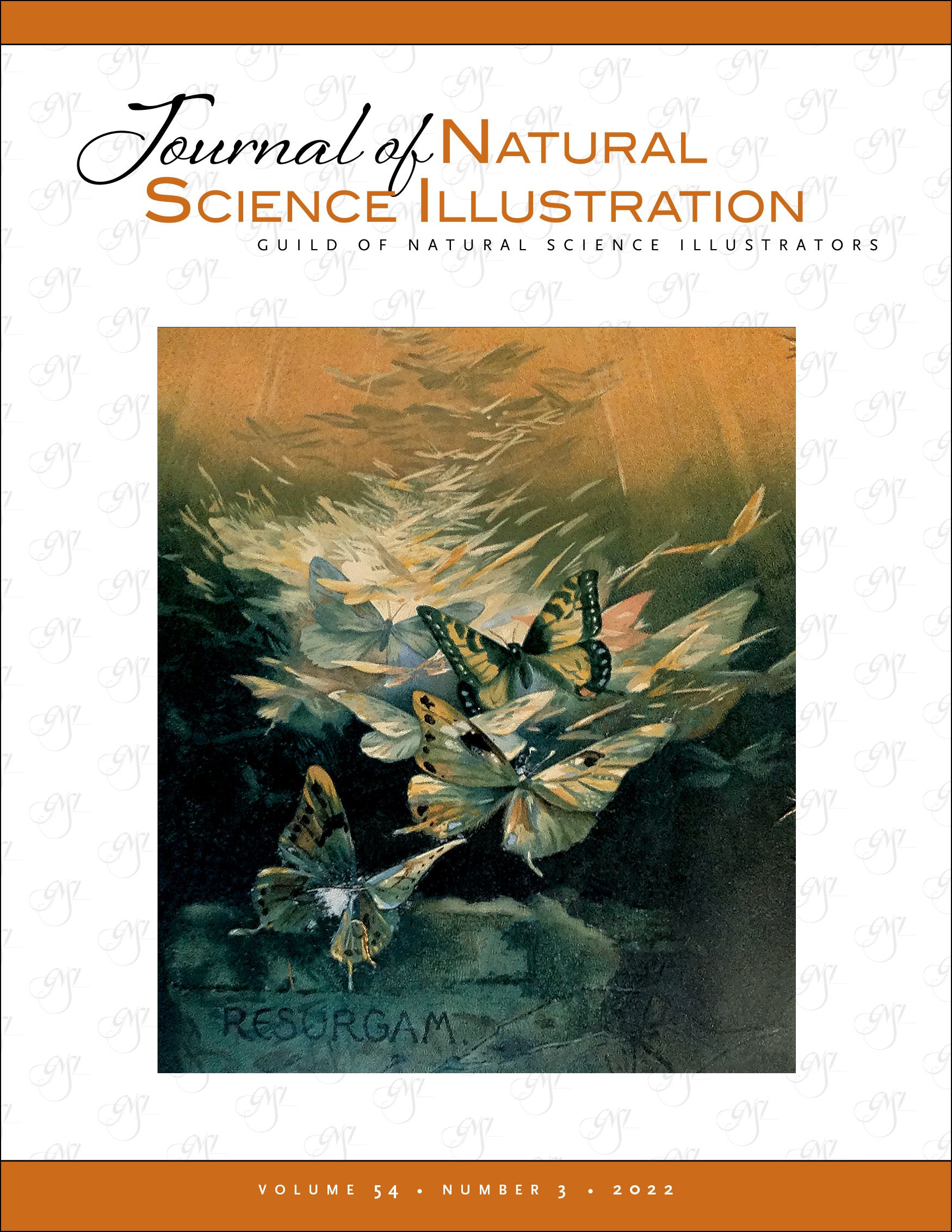 JNSI Vol. 54 No. 3 cover art