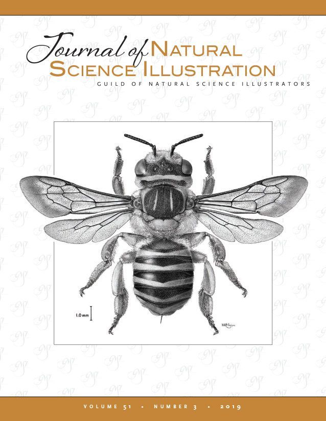 Journal of Nature Science Illustrators Vol. 51, No. 3 - Cover image