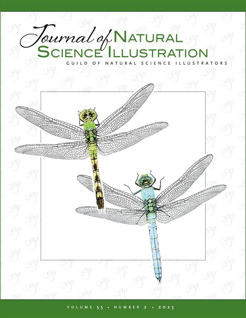 Journal of Natural Science Illustration Vol. 55 No. 2 - Cover art
