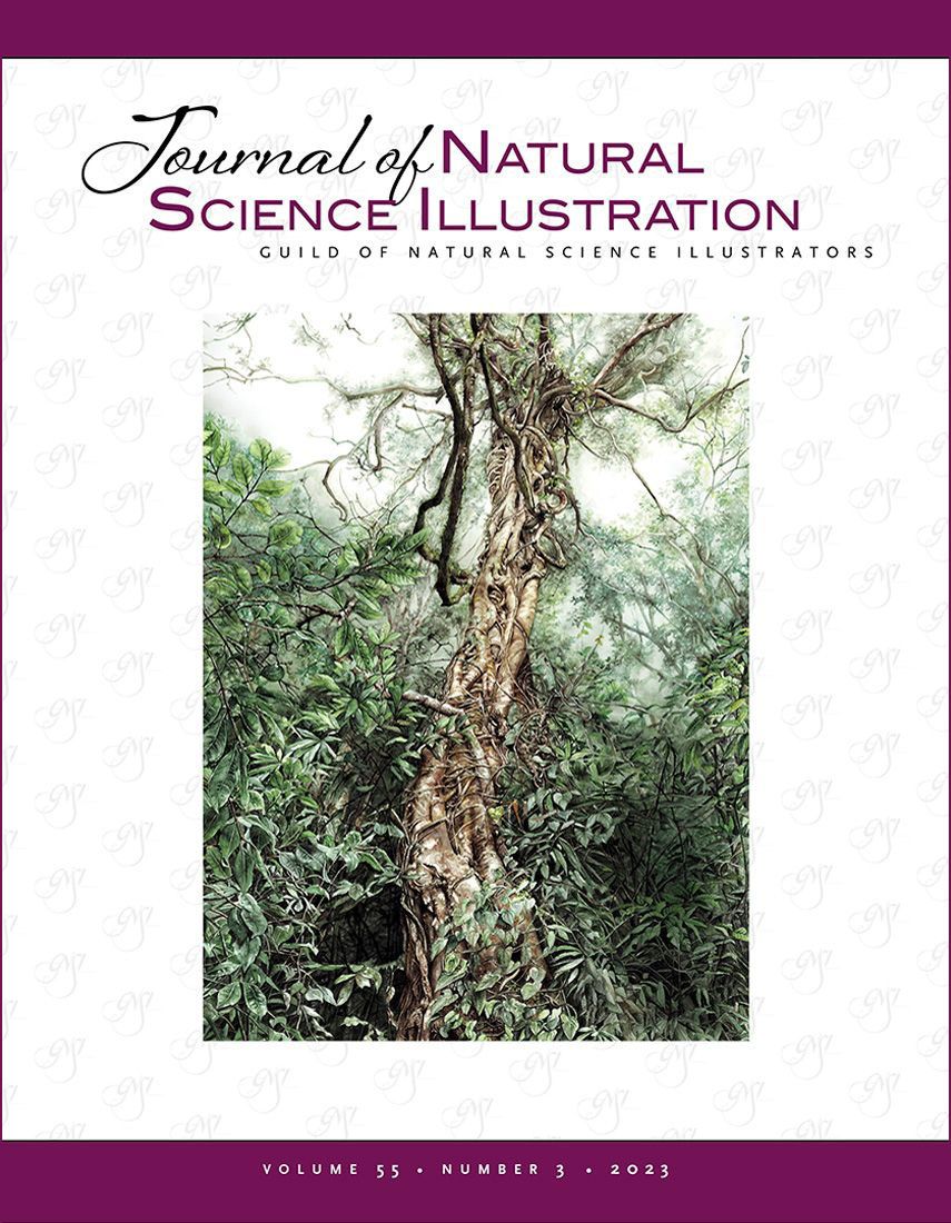Journal of Nature Science Illustrators Vol. 55, No. 3 - Cover art