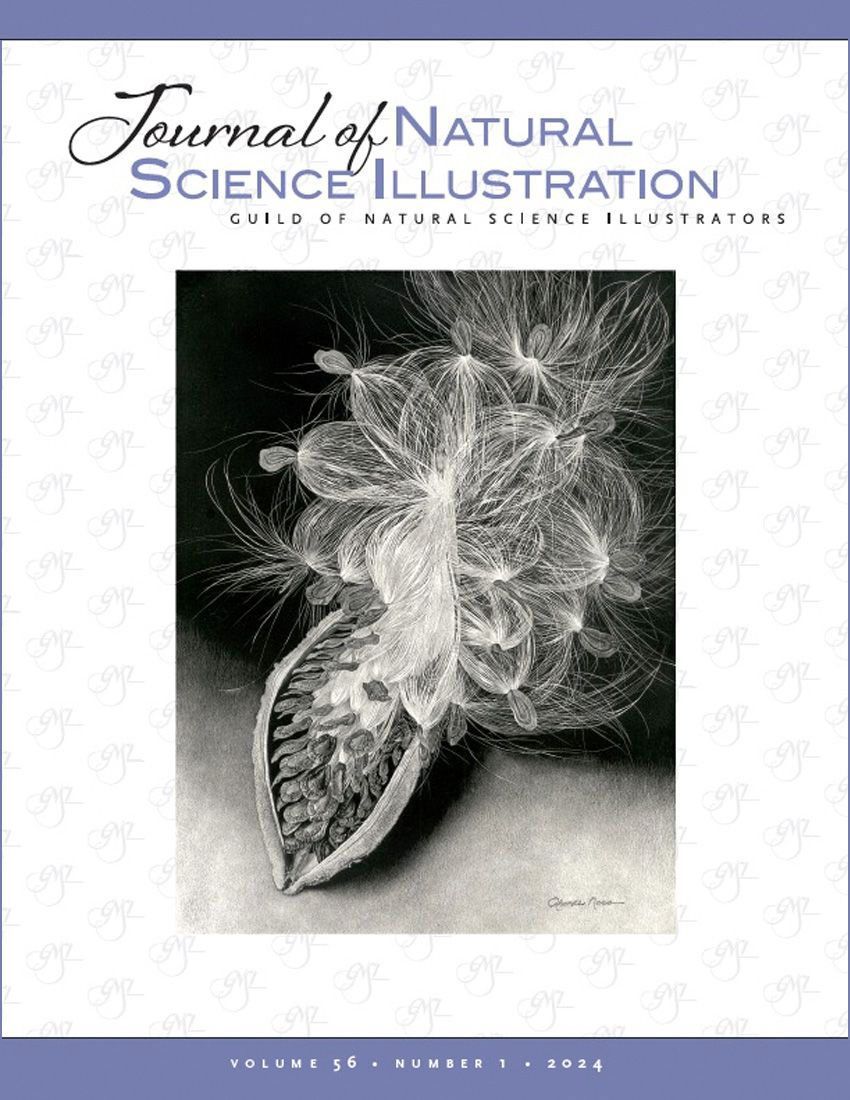 GNSI Journal Cover art 2024 no. 1 issue