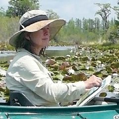 Marlene Hill Donnelly