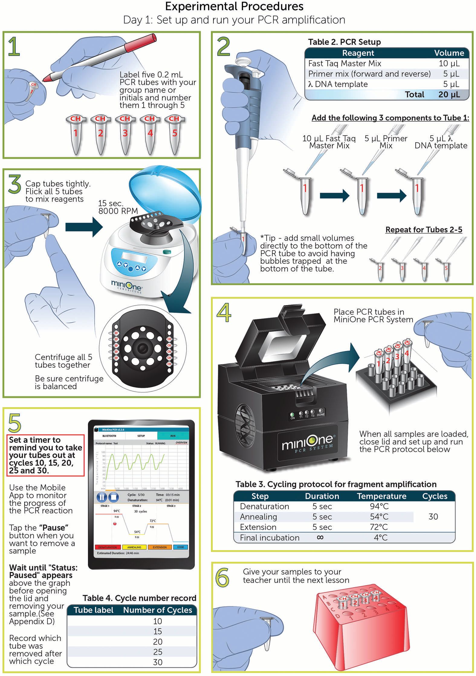 Figure 6: PCR Cycle Count Day 1 Experimental Procedure. Adobe Illustrator. © 2019 Embi Tec 