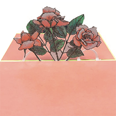 An example of
a finished pop-up card. Illustration of roses ©2019 Camille Werther