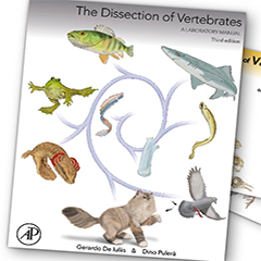 The Dissection of Vertebrates: cover of the new third edition