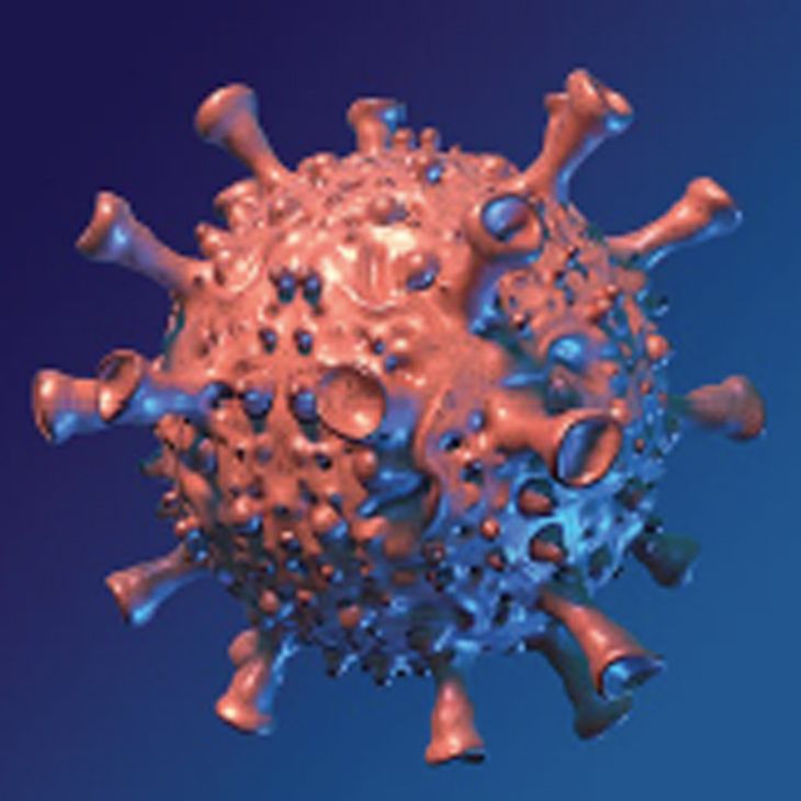 Figure 5: Generic COVID #2. Another example 
of a virus image  © 2020
Chuck Carter