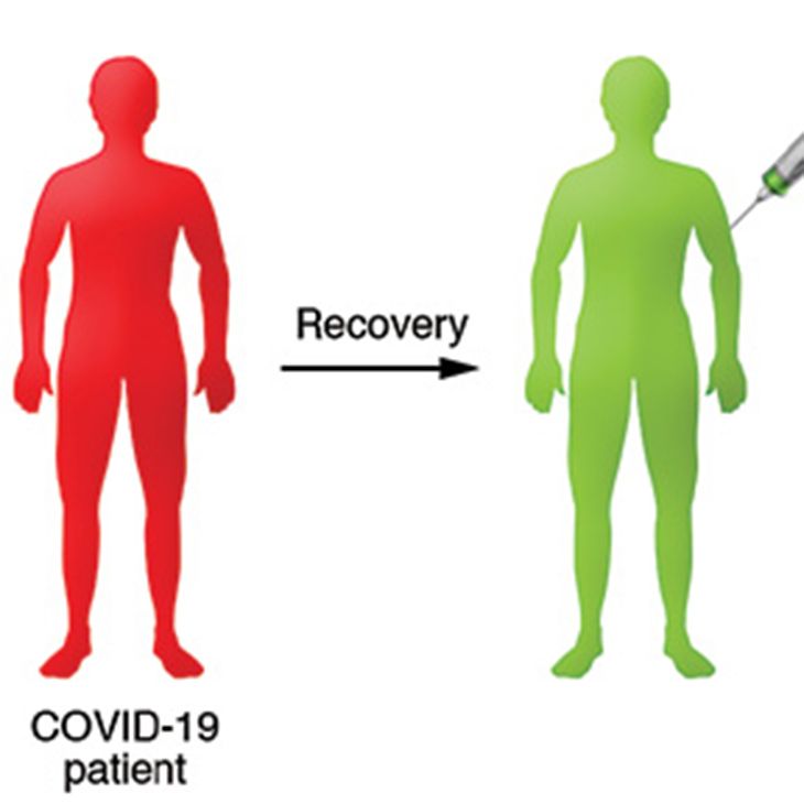 All illustrations © Journal of Clinical Investigation, unless otherwise noted.
Figure 1: Using antibodies from recovered patients to create 
a vaccine. Published in 