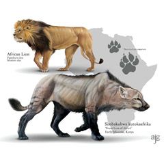 Extinct Species Reconstruction