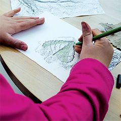 Participant adding detail to a leaf rubbing.