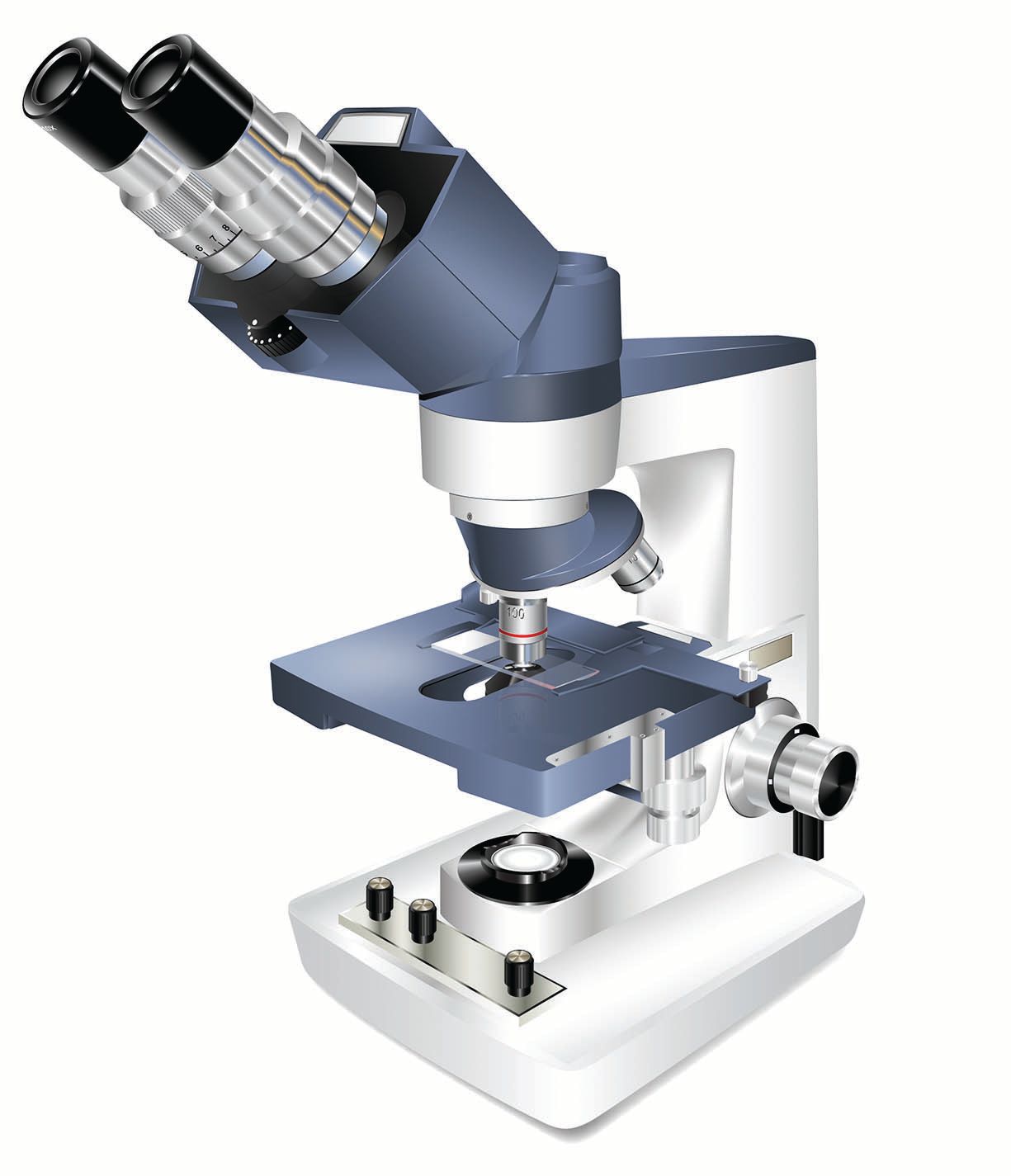 Figure 1: Compound light microscope. Adobe Illustrator. © 2006 Science Lab Studios, Inc.