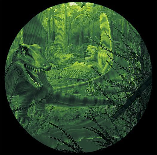 Night Vision Dimetrodon,
© Marlene Hill Donnelly
Carbon dust, digital, 2014;
courtesy Ken Angielczyk, The
Field Museum.
The discovery of Dimetrodon
fossils with large sclerotic
rings implies that this early
reptile was nocturnal; to
make the point immediate the
reconstruction is presented as if
through a night vision device.