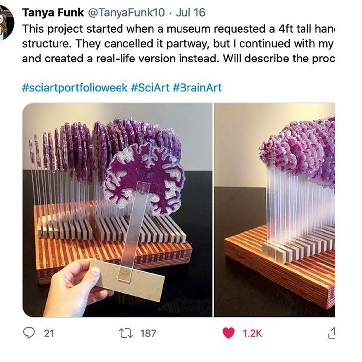 igure 2: Our online portfolio sharing took the form of a Tweetstorm with the hashtag #sciartportfolioweek. It was a resounding success, as evidenced by this single tweet by Tatiana Funk 
that received 1,228 likes. Photos © Tatiana Funk