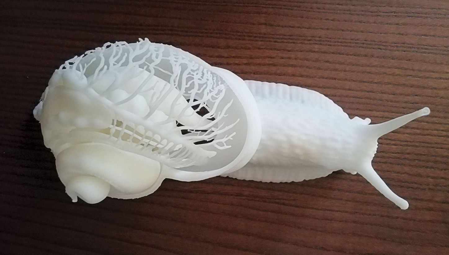 Figure 1: 3D Printed Snail.