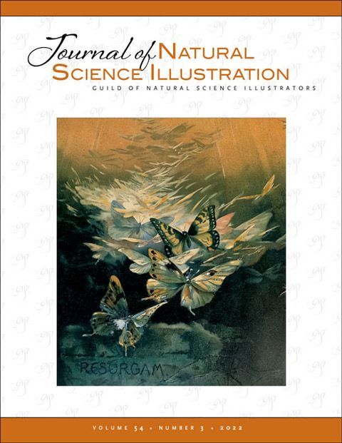 Cover image of the JNSI Vol 54 No.3