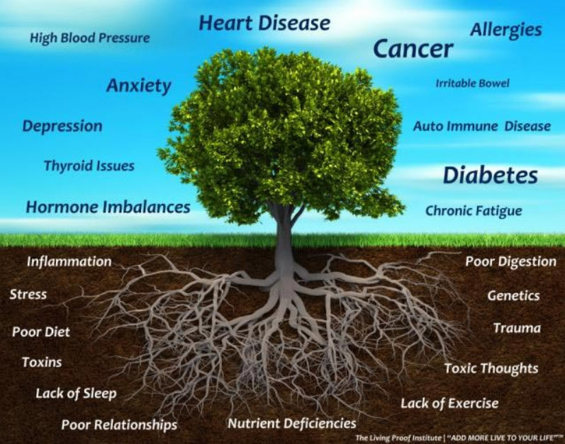 visual representation of common diseases and their root causes
