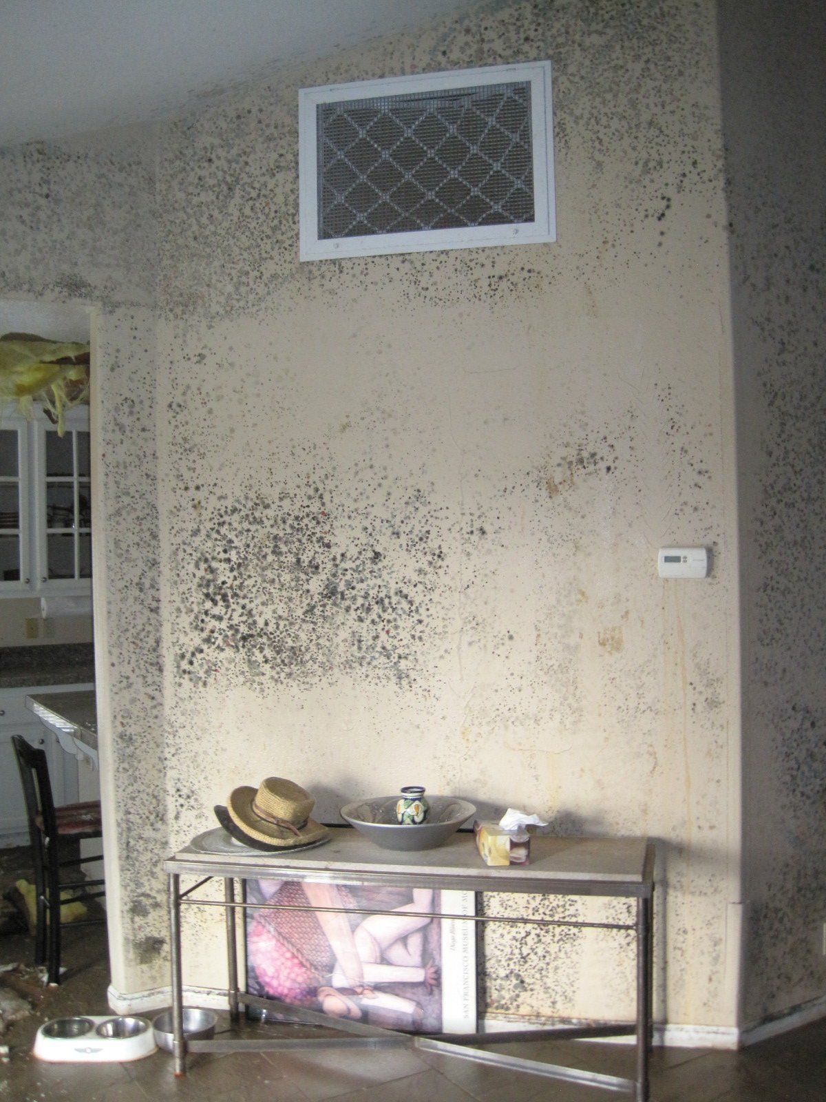 mold remediation nwa