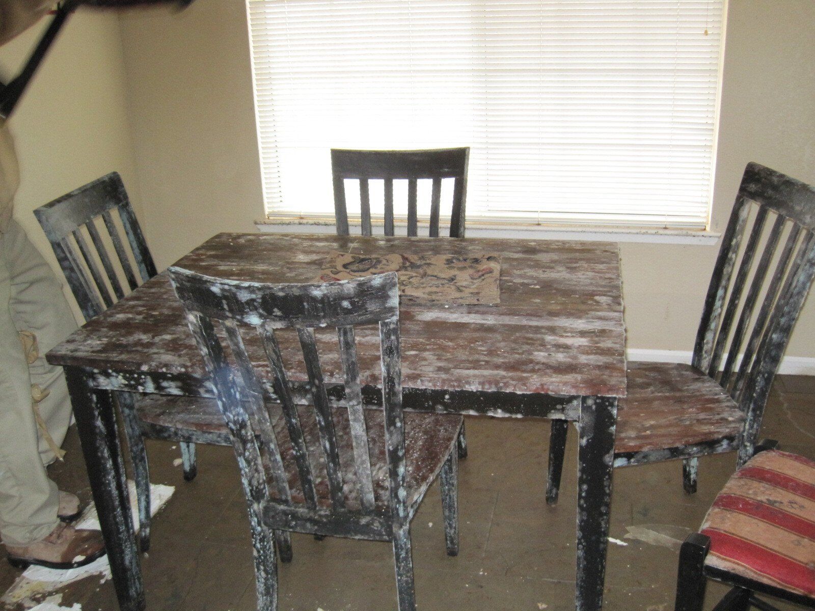 mold remediation nwa