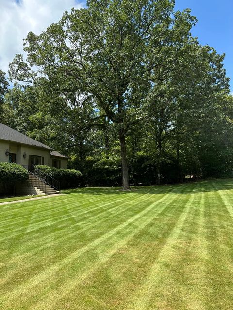 A lush green lawn with a tree in the background and a house in the background.