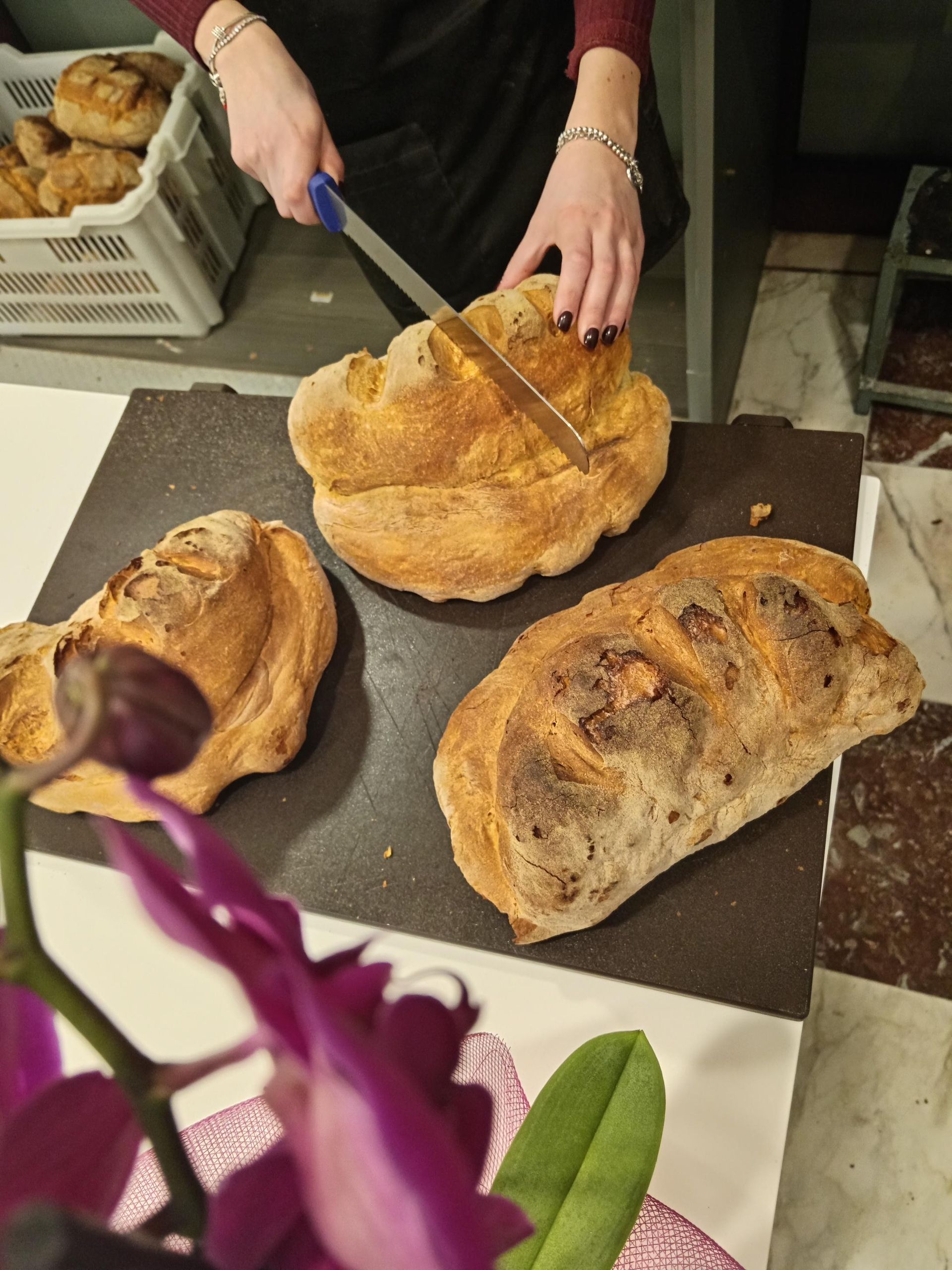 pane di altamura