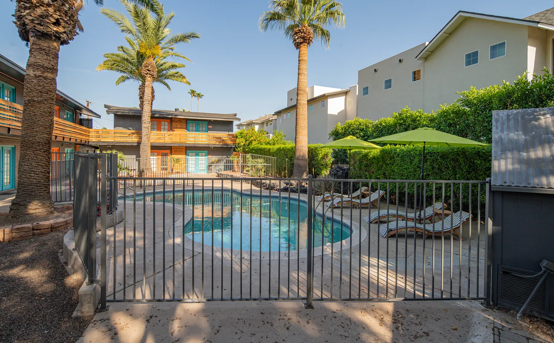 Swimming pool behind a black fence, surrounded by palm trees and buildings.
