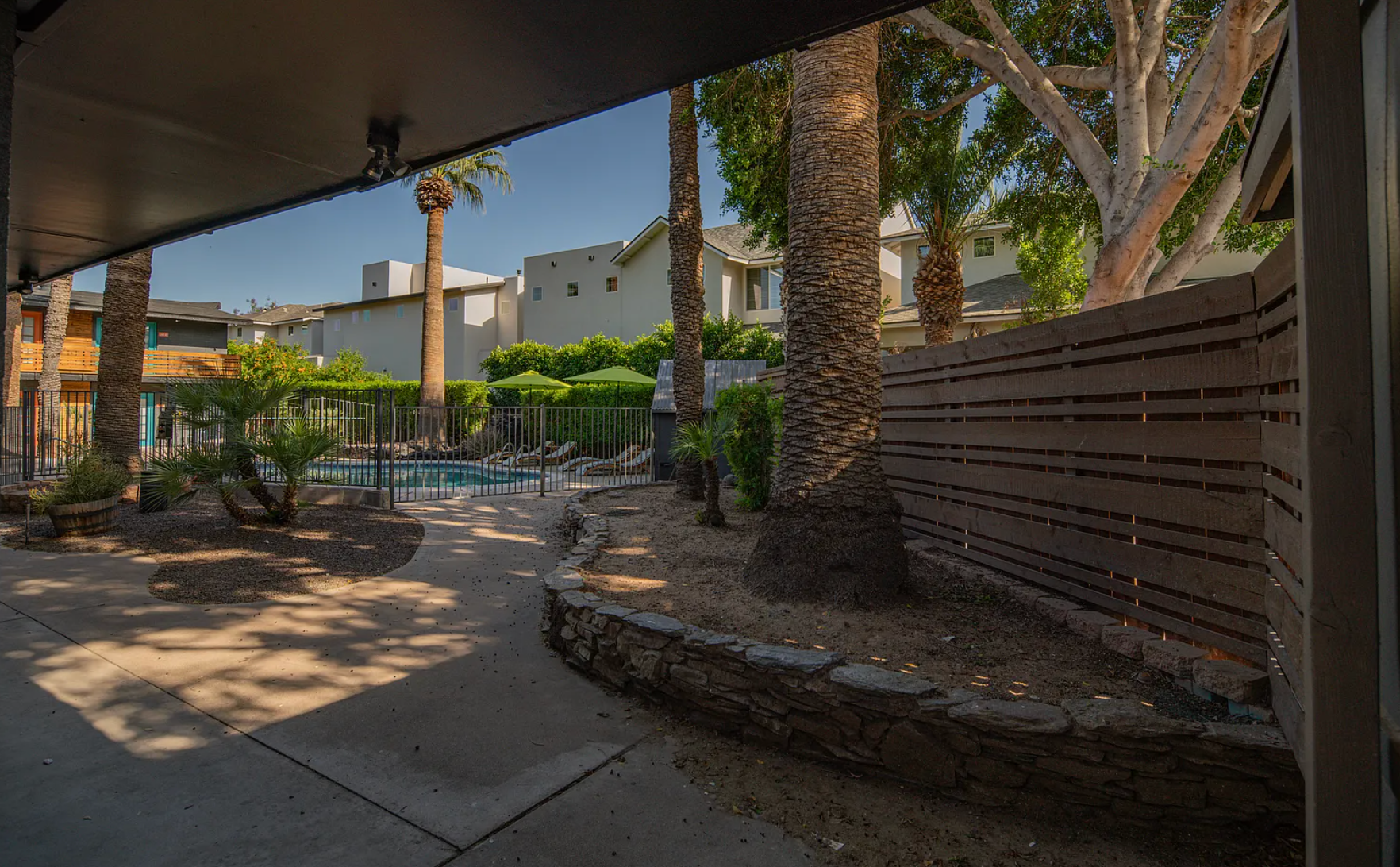 Patio overlooking a pool area with palm trees, shrubs, and a wooden fence on a sunny day.