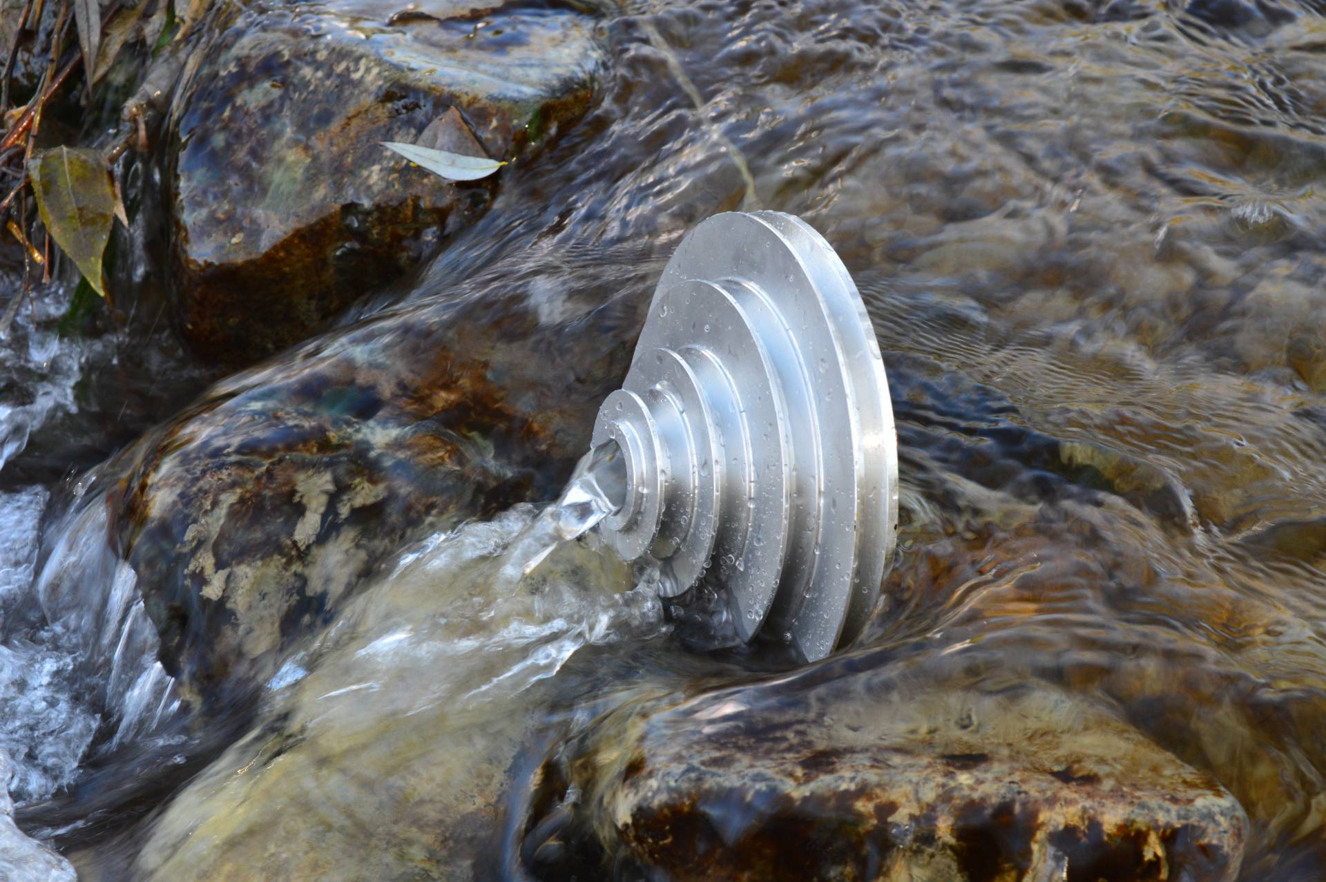 Seashell and water