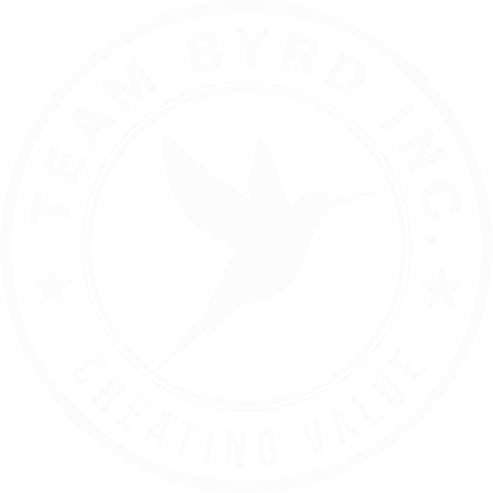 Team Byrd Inc. Logo