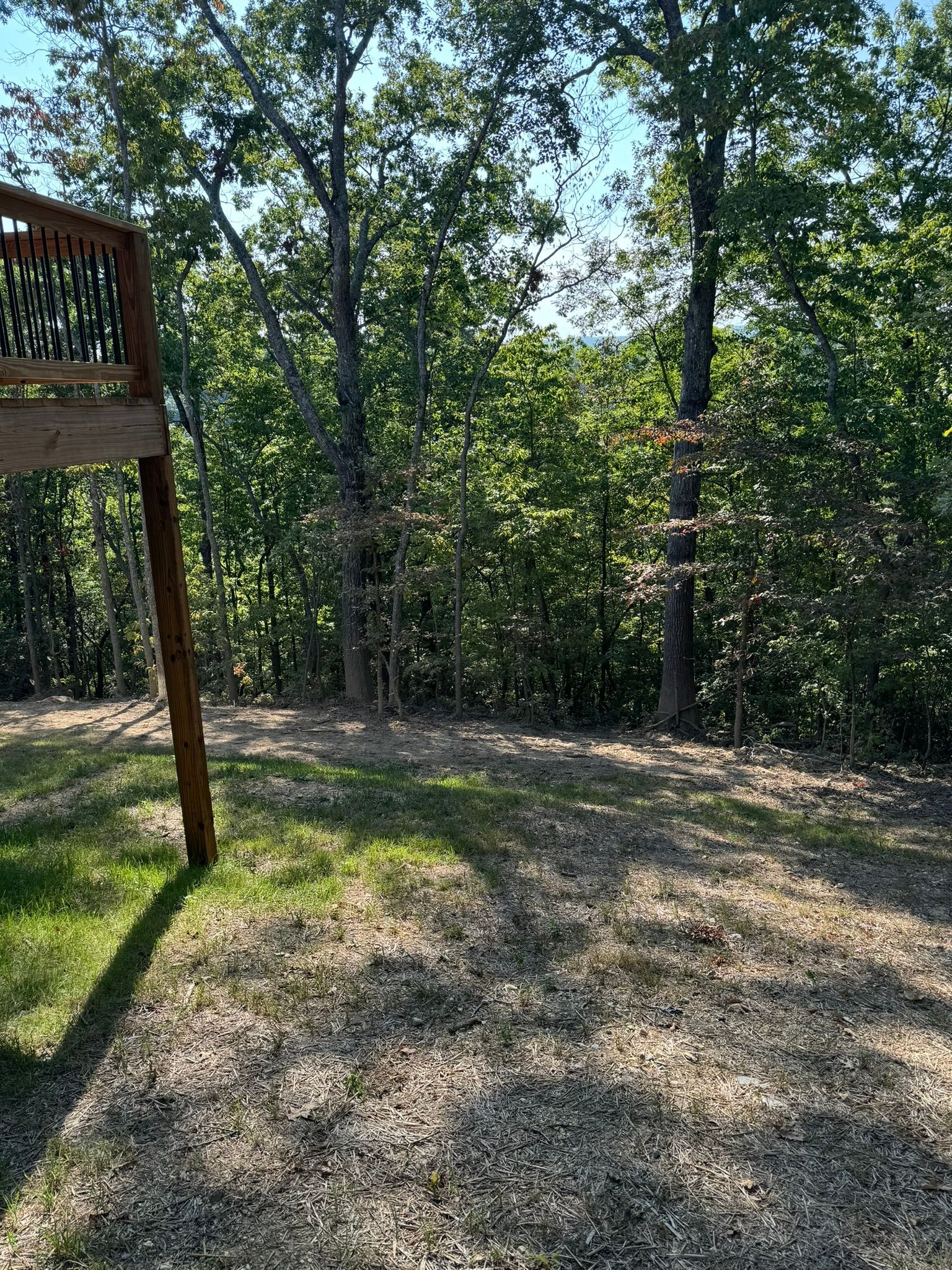 Grassy yard with a deck on the left and a forest in the background on a sunny day.