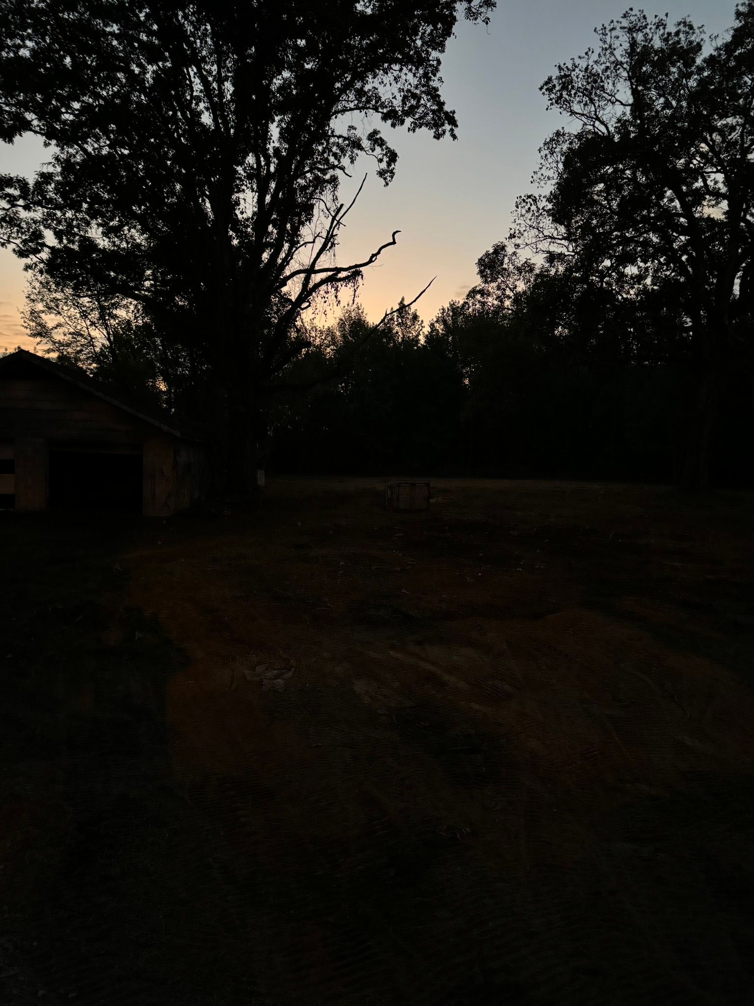 Silhouette of trees and a building against a twilight sky. Dark field in the foreground.
