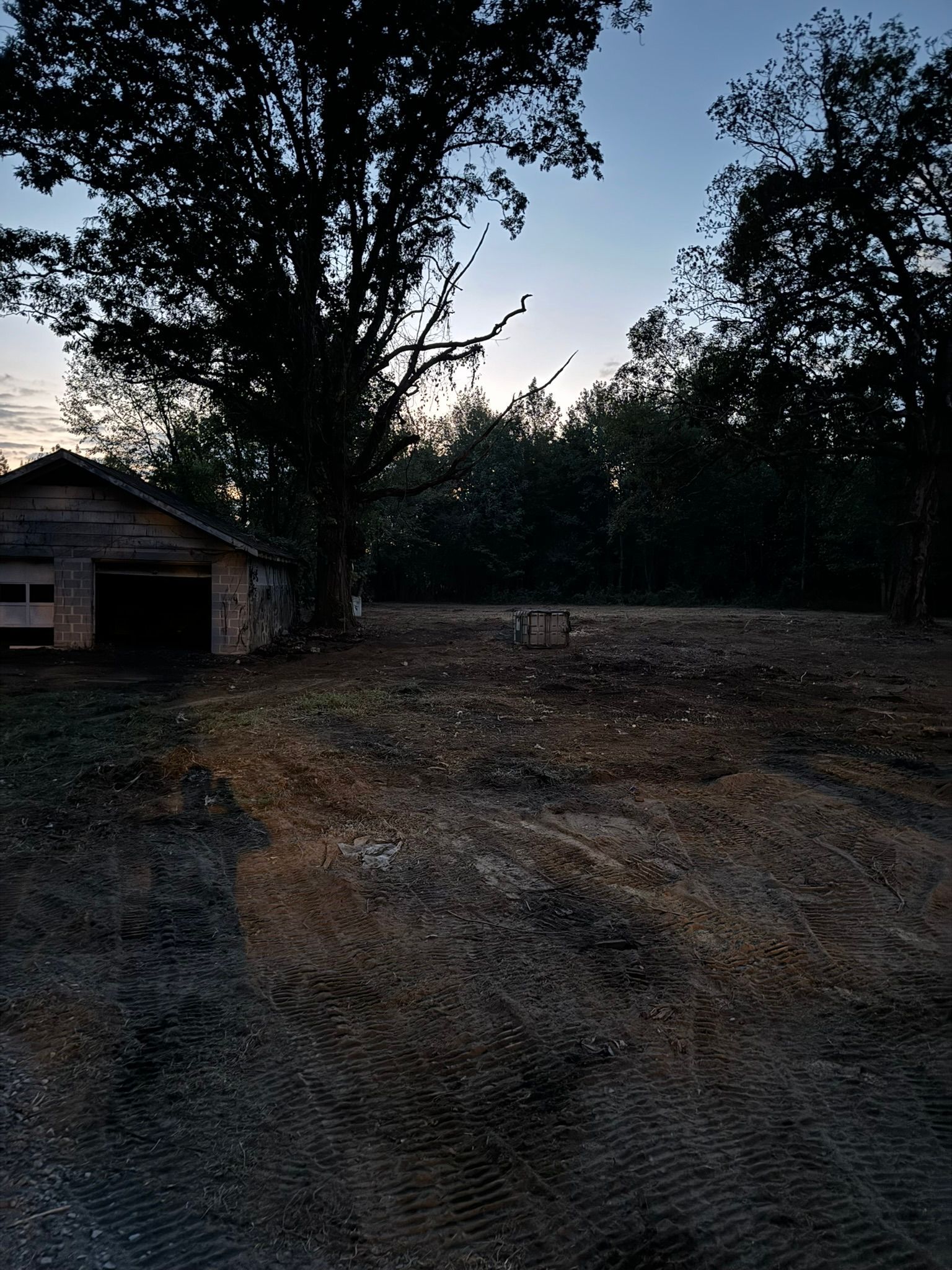 A small barn and large trees in silhouette against a dusky sky. Ground is mostly bare.
