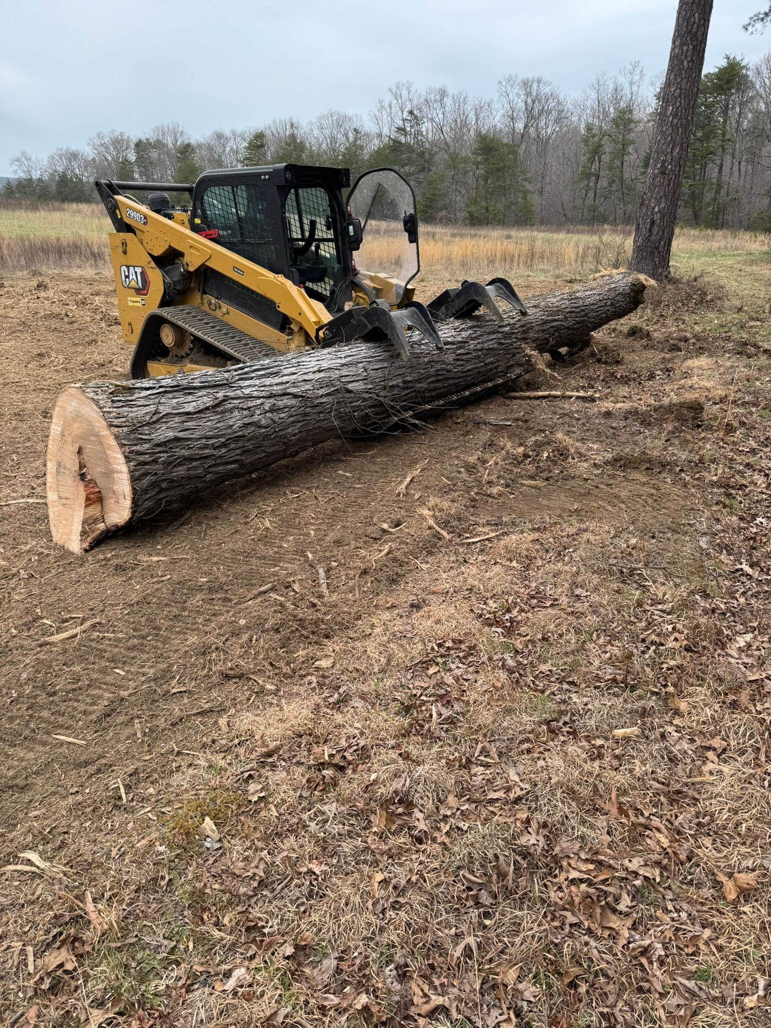 Yellow CAT skid steer with a tree trunk in a field.