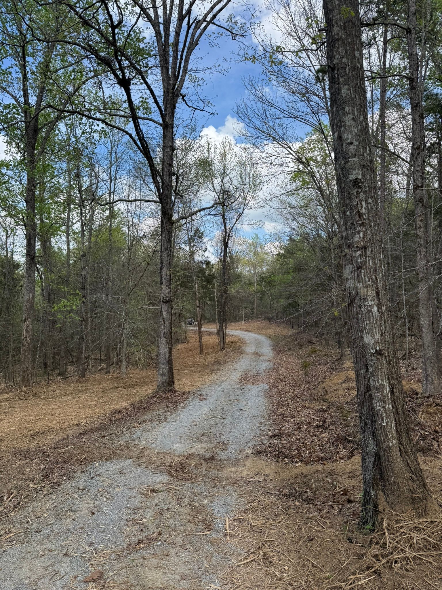 Gravel path winding through a forest, lined with trees. Overcast sky visible above.