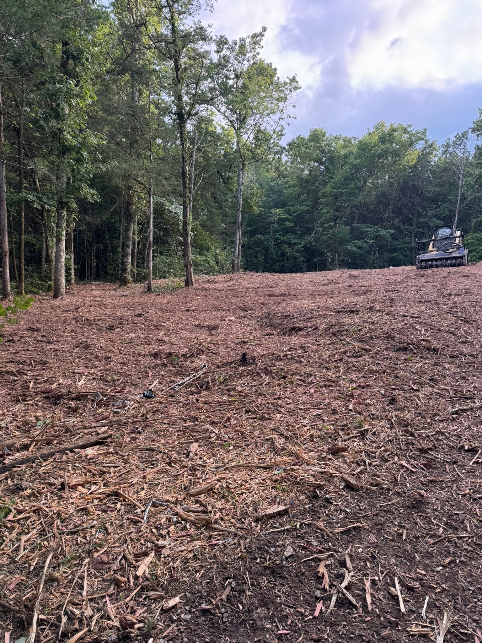 Wood chips cover a cleared area in a forest, with trees in the background and an excavator on the right.