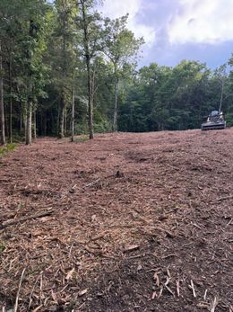 Clearing of a wooded area, covered in wood chips. An excavator is visible in the background.