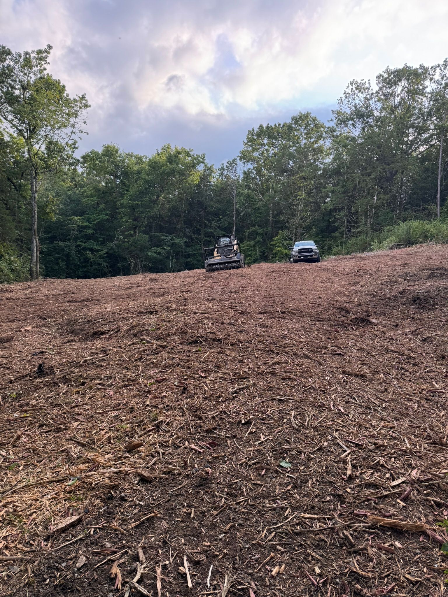 A wood-chipped hillside with a machine and a truck, trees in background, overcast sky.