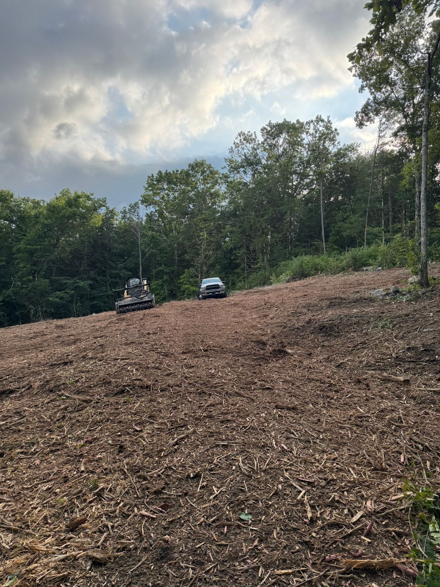 A wood-chipped hillside with a car and construction equipment, under a cloudy sky with trees.