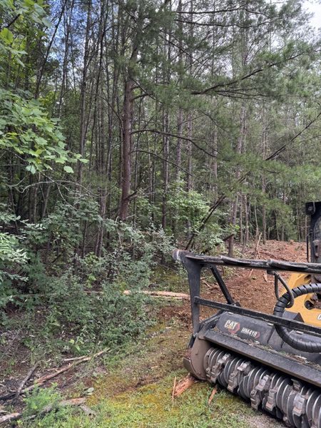 Brush cutter clearing a wooded area.