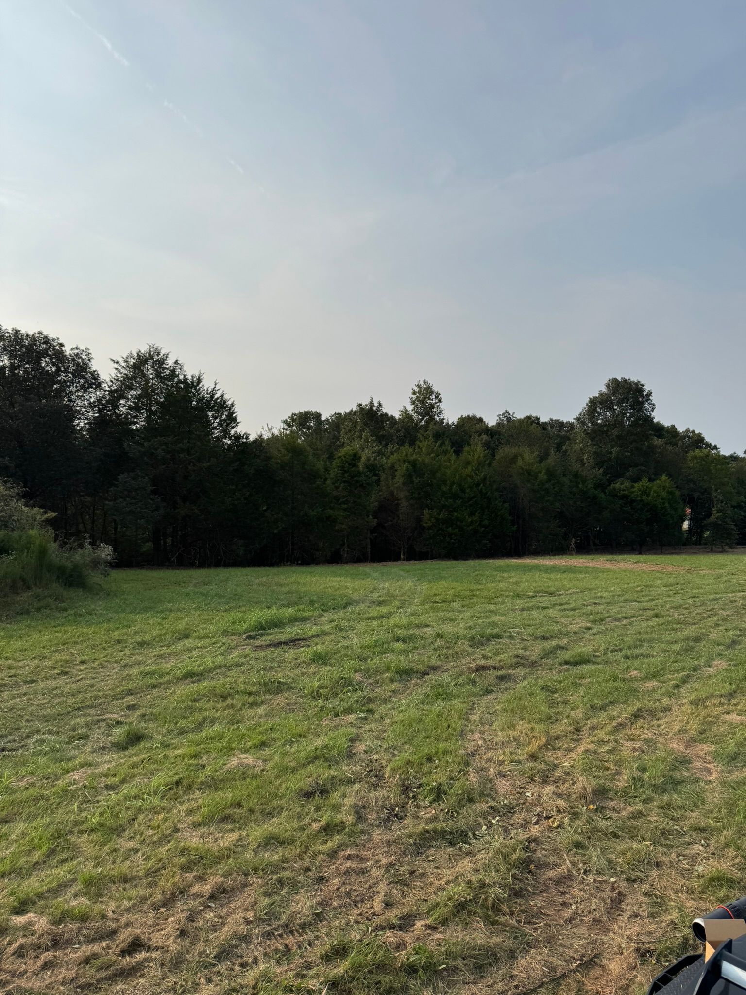 Grassy field with a row of trees against a hazy, pale sky.